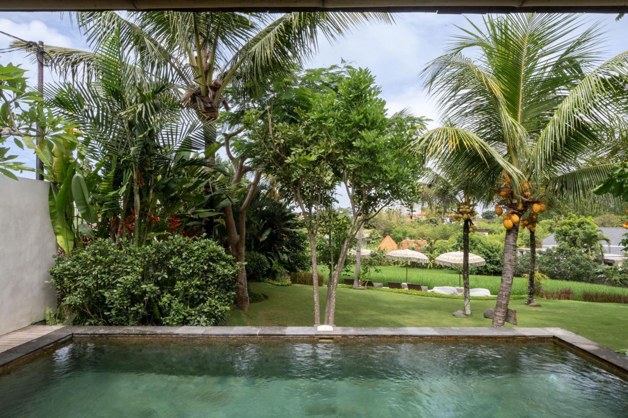 Premadhan Cottage Canggu Dış mekan fotoğraf